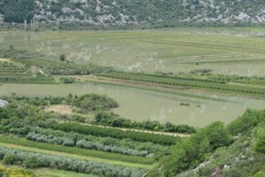 Velike štete u poljoprivredi u Vrgoračko-neretvanskom polju
