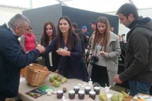 Intervju: Maja Miljević, Zdrava logika, Banja Luka