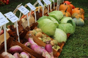 Zeleni dragulji prirode na Agri