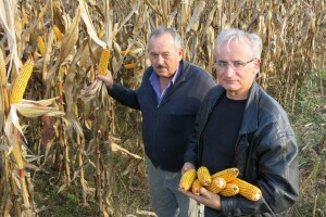 Zeolit u poljoprivredi