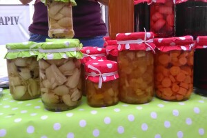 Dragana Jagodić ostala bez posla, pa pokrenula proizvodnju zimnice