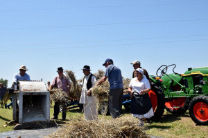 Žetvene svečanosti na OPG Ožoga