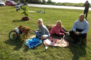 Međunarodni dan zaštite životinja