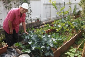 Zlata Nanić, hrvatska pionirka ekološke poljoprivrede