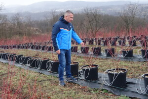 Ogledni zasad i meterološka stanica u Kačeru