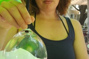 Panika na Silbi: Azijski stršljen ili Mamutska osa u vrtu Linde Žunić?