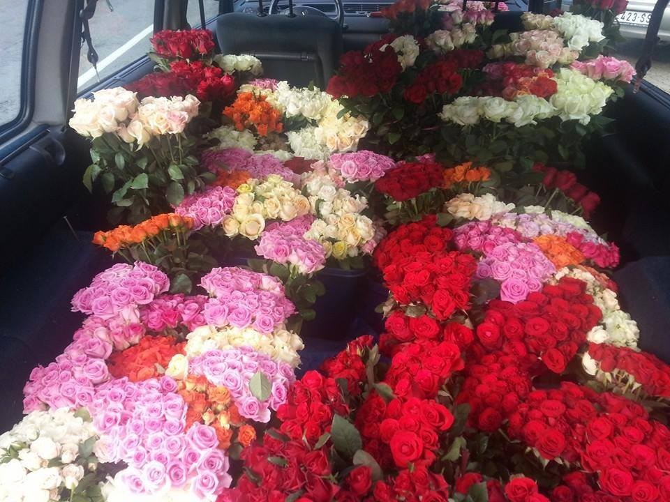 Ruže porodice Lazarević