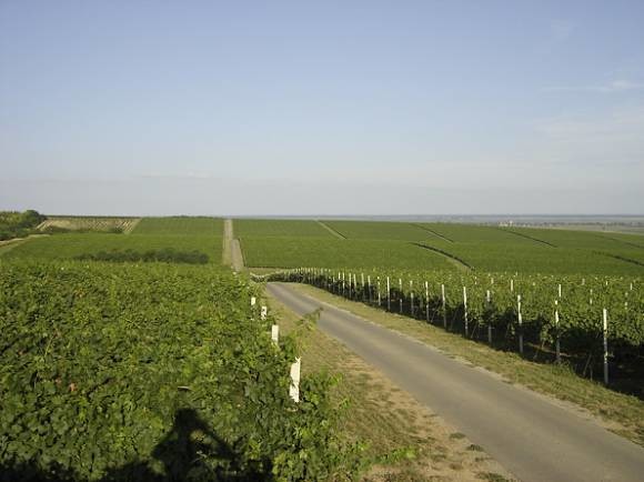 Baranja Majka Vina I Tradicije Seoski Turizam