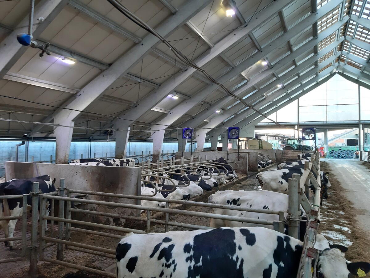 farma, sistem hlađenja