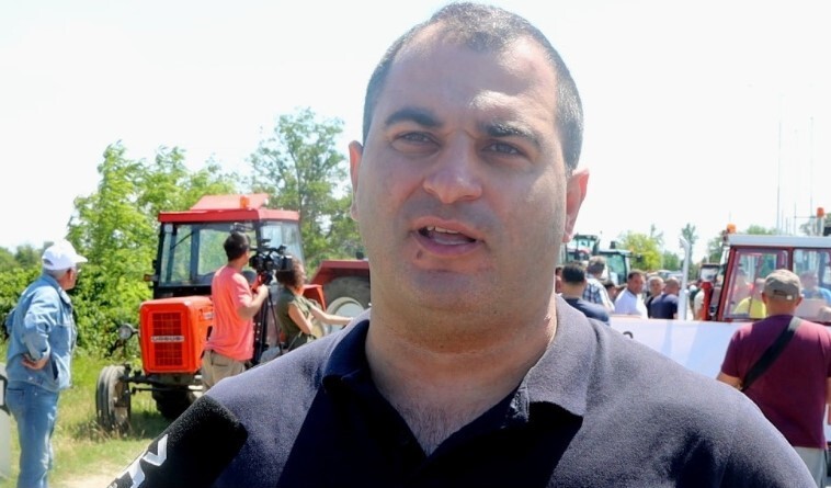 Nedeljko Savić