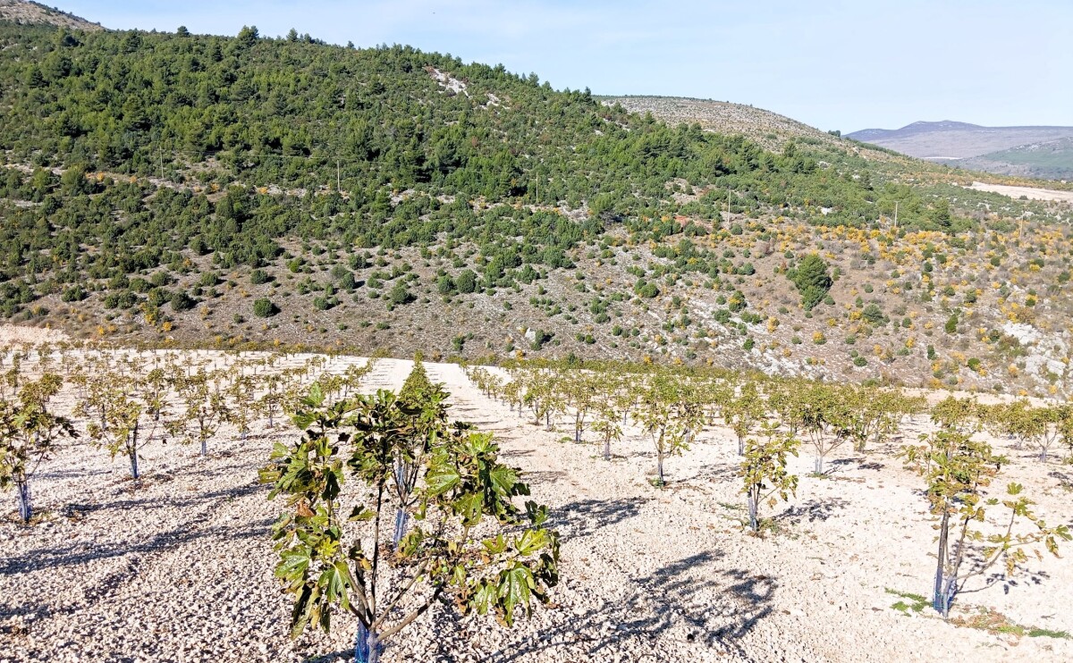 zasadi Agroherc Organic