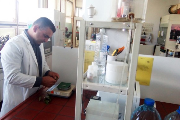 Aleksandar Leposavić