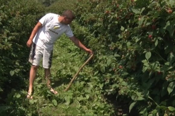 Aleksandar Stojković