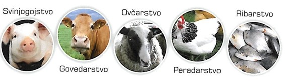 azomite - stocarstvo