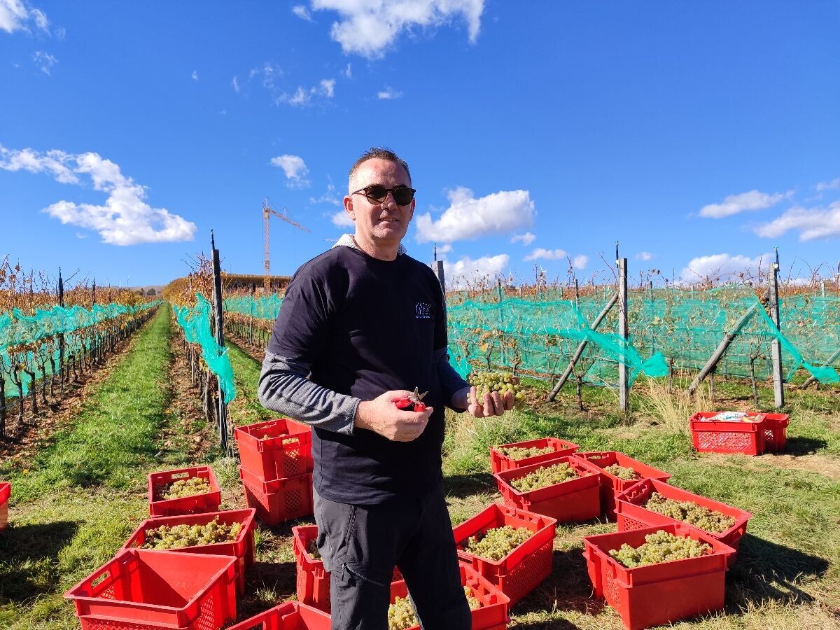 Prijatelj Damir stigao iz Imotskog da pomogne u berbi