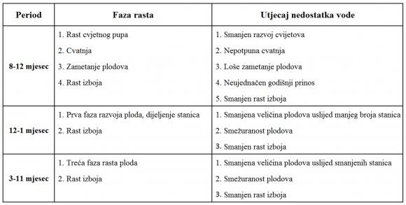 Tablica kritičnih točaka u fazama rasta maslina