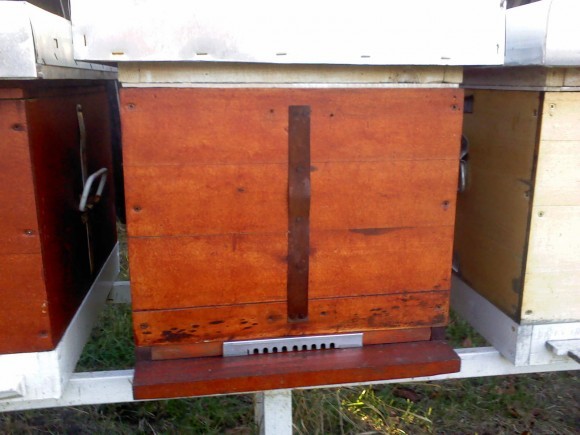 Češalj na košnici