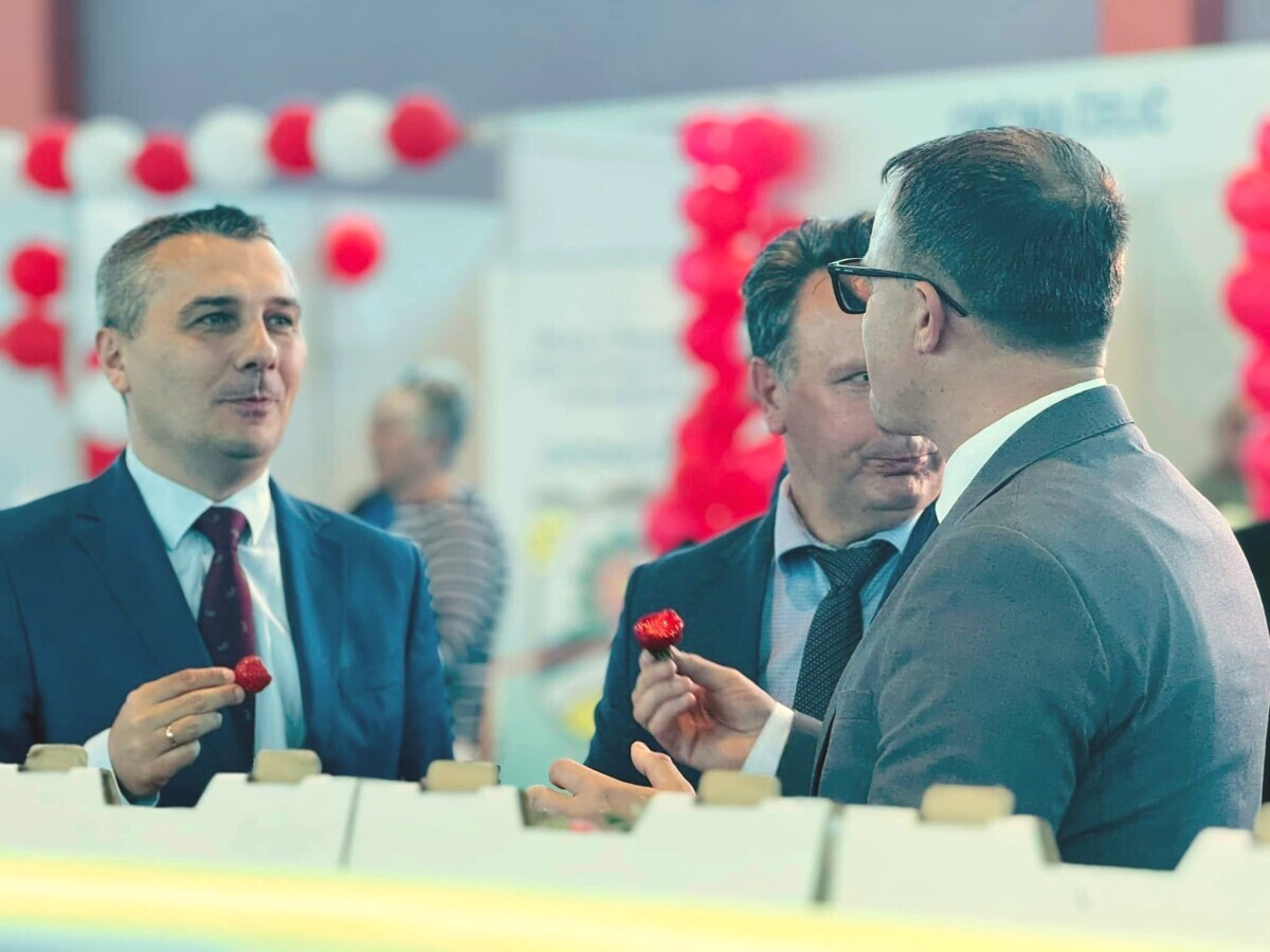 ljudi na sajmu jedu jagode