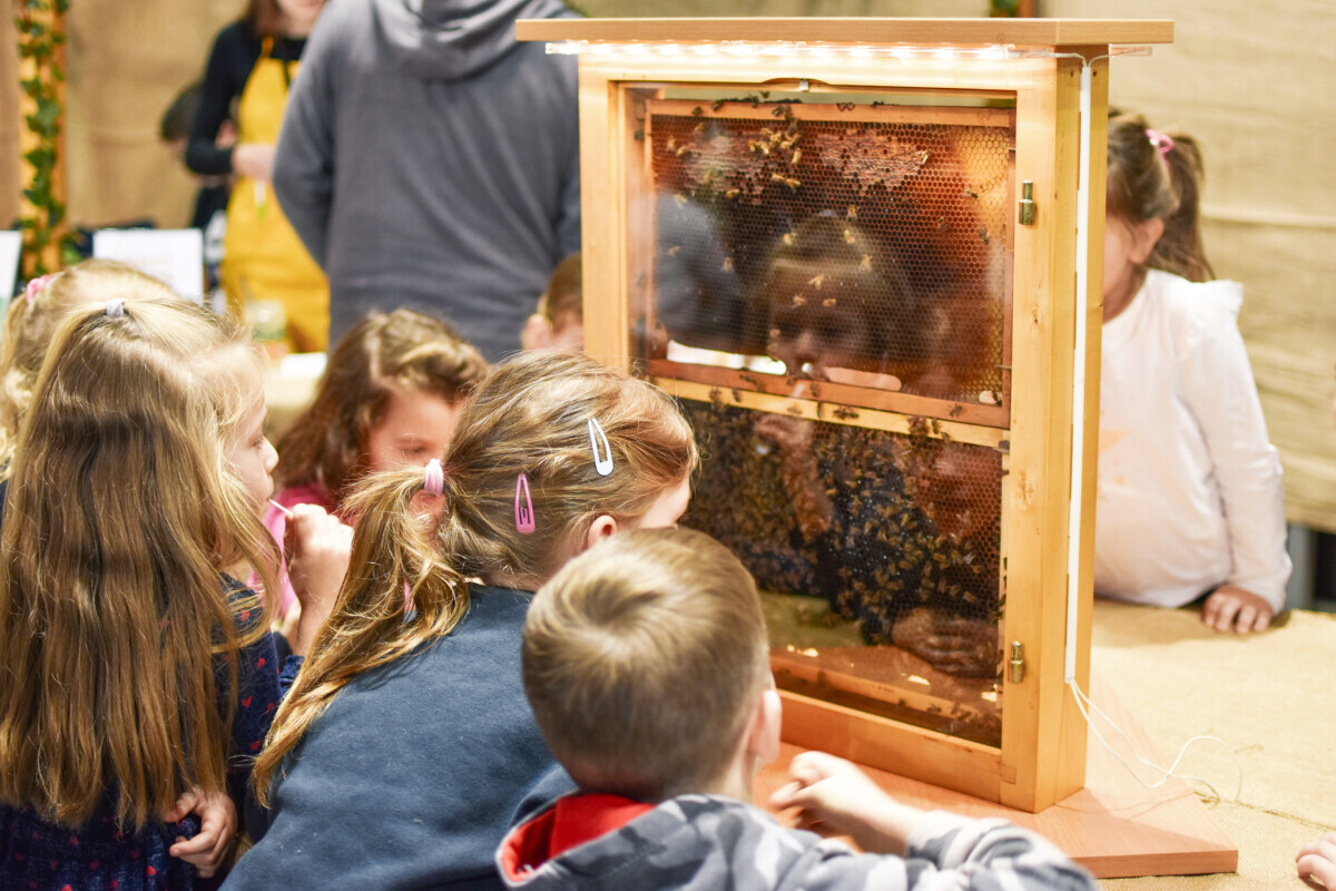 Pčele djeca