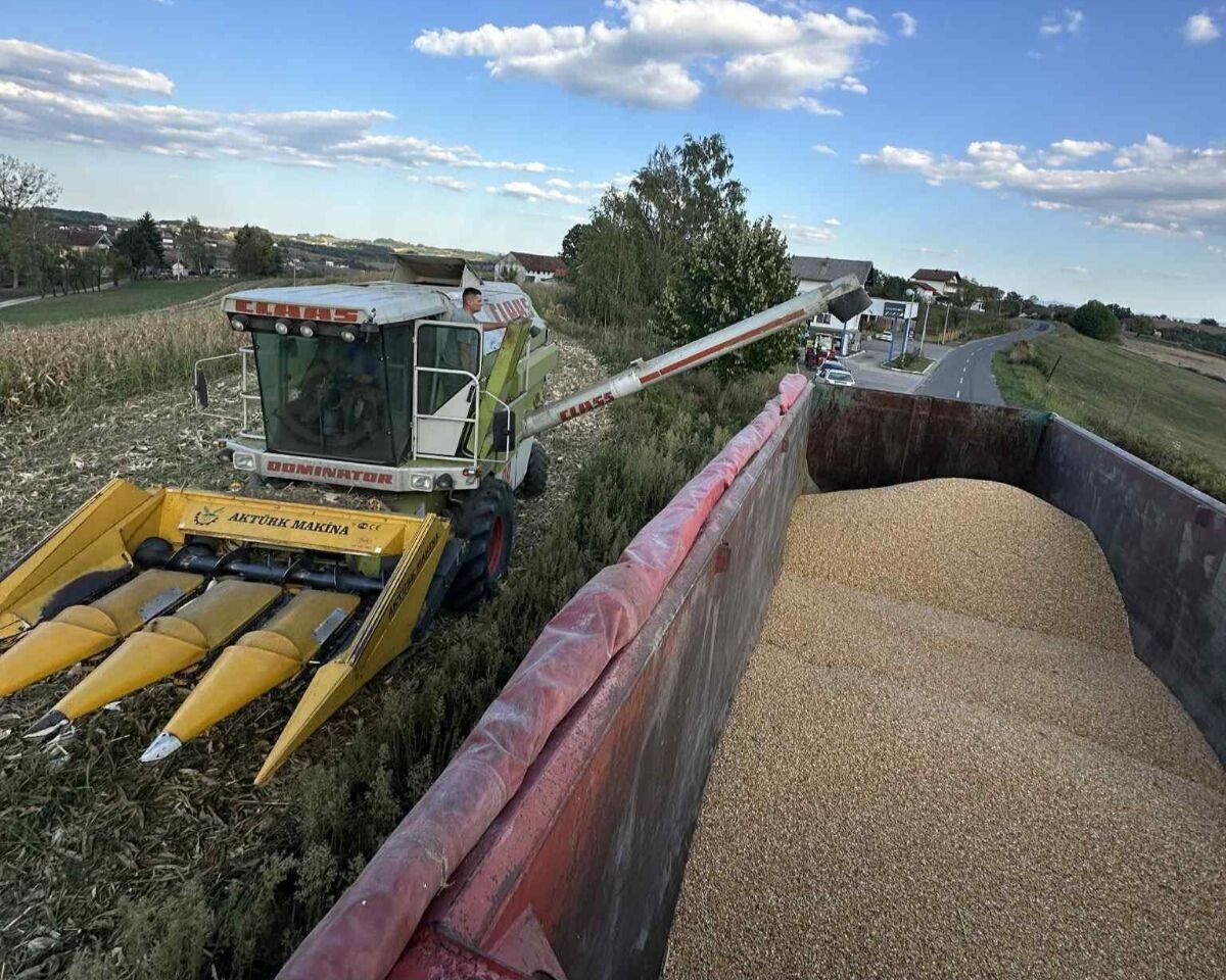 Komšije zadovoljne uslugama