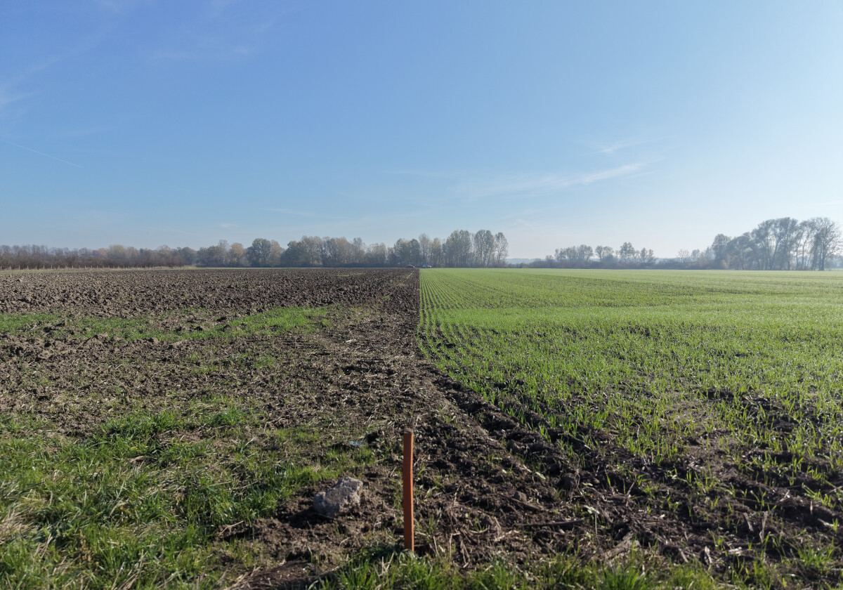 Poljoprivredni obrt Erdelji