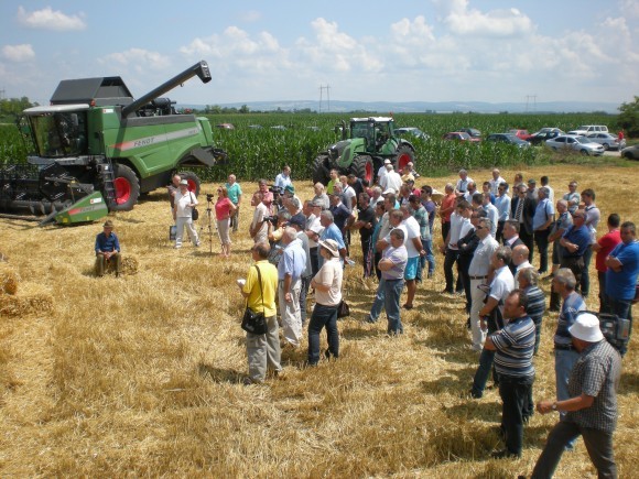 Žetva pšenice, Kuzmin