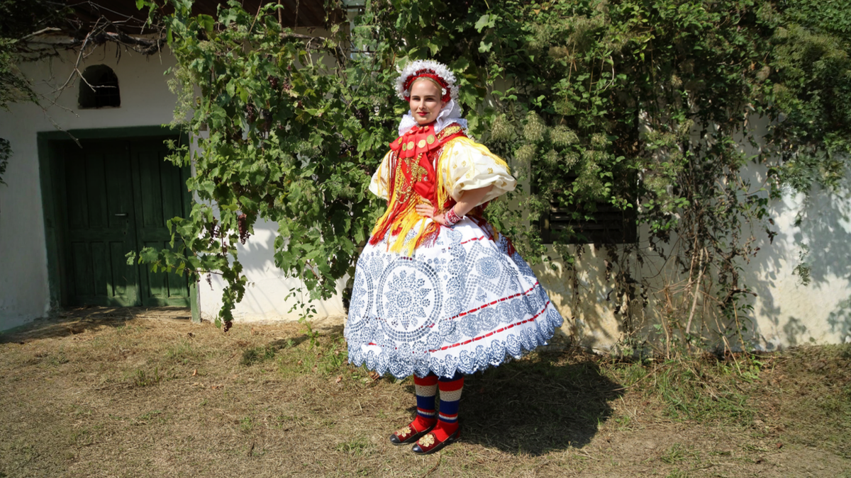 martinovo brdo
