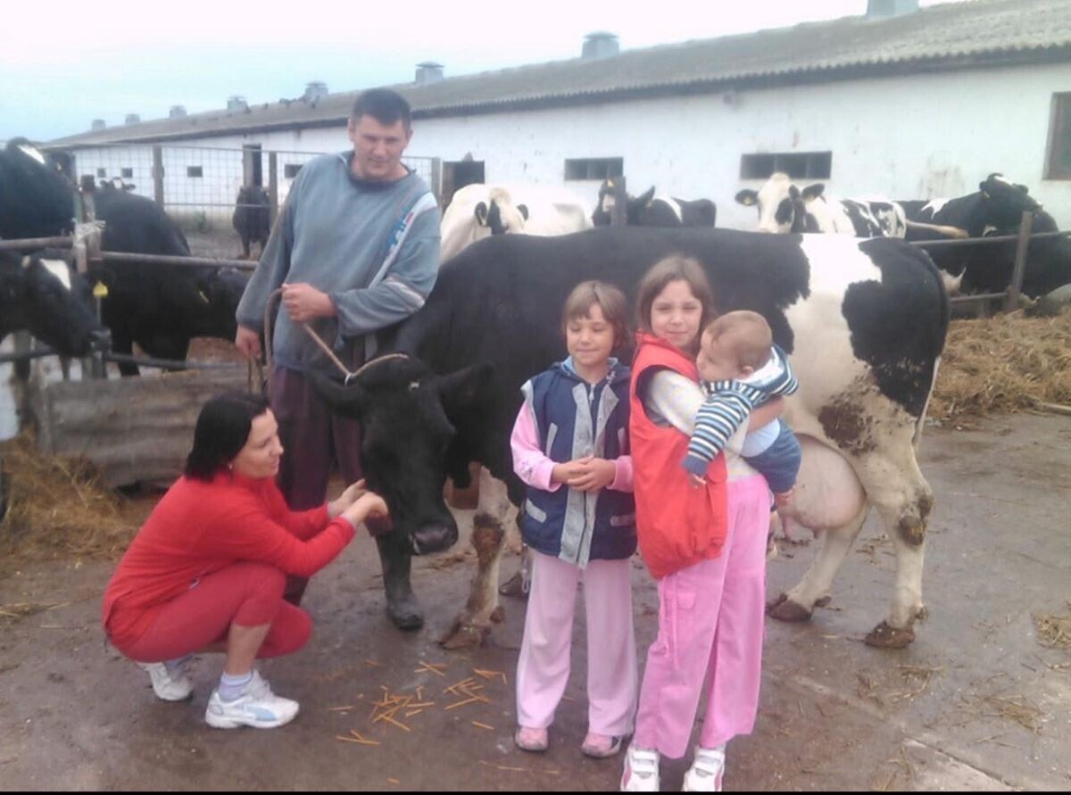 Porodica Plavšić sa kravama