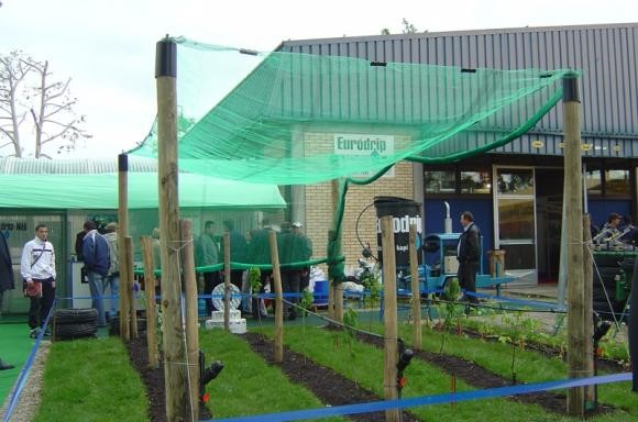 Florina u Novom Sadu