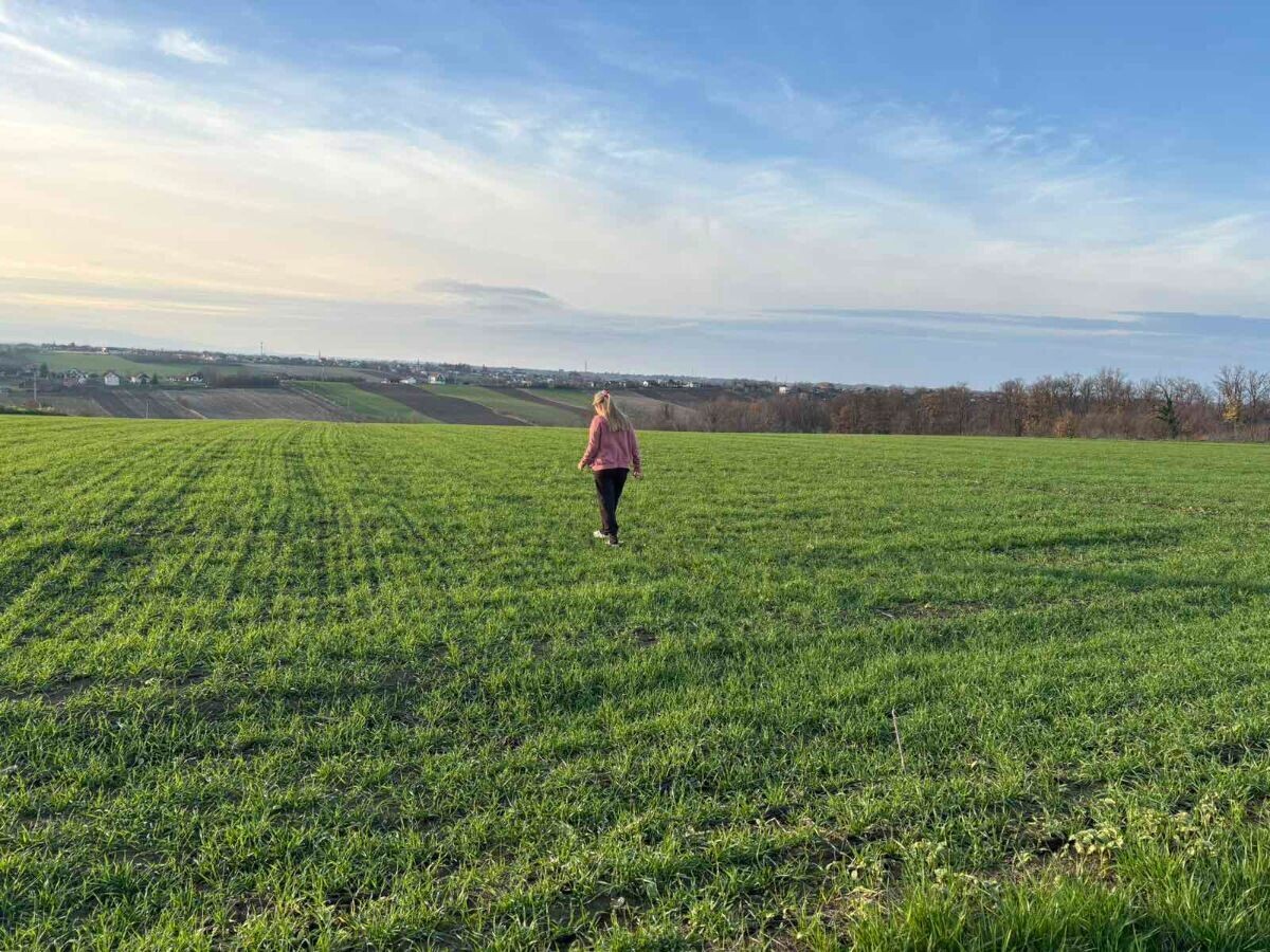 Marija na njivi pšenice