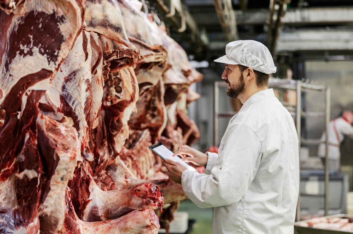 Globalna poljoprivreda - govedarstvo