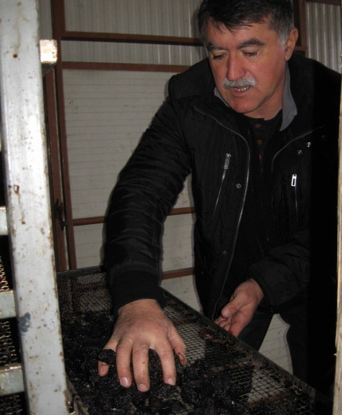 Mijailović u svojoj sušari