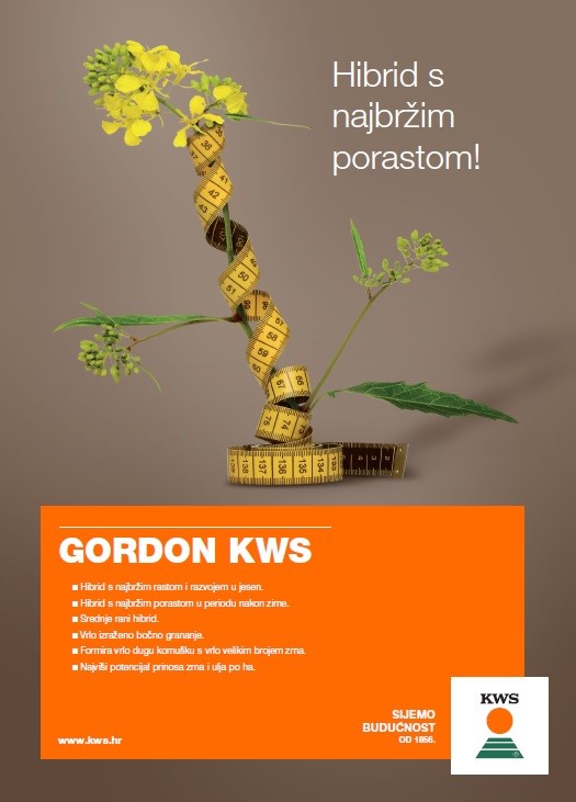 KWS_gordon