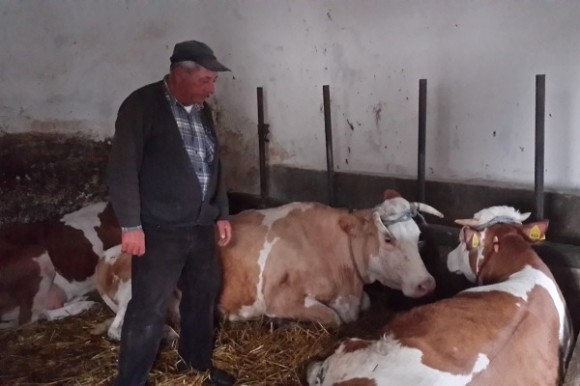 Goveda obitelji Slepčević