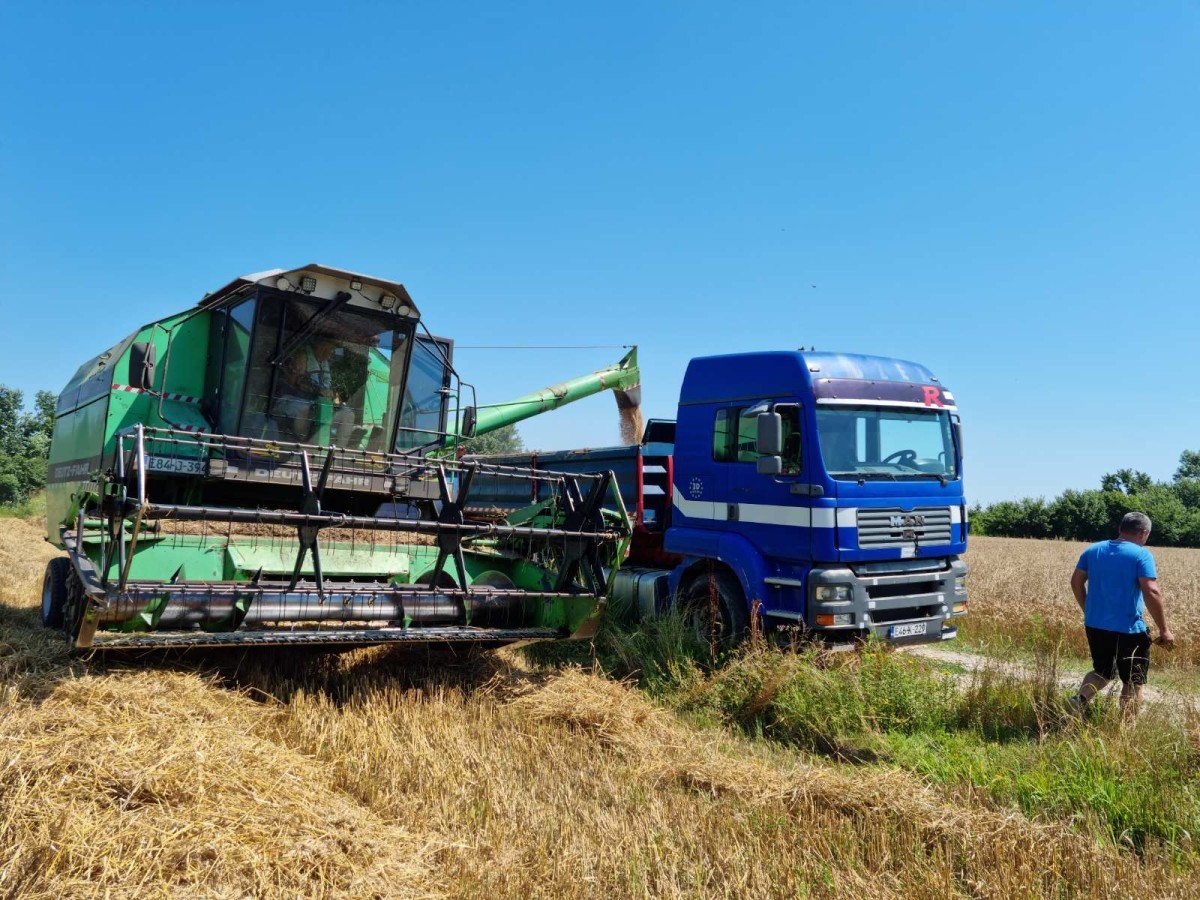 MUSTAFA GRADAŠČEVIĆ: Kakvo more, berićet je u poljoprivredi (foto) 11 gradascevic