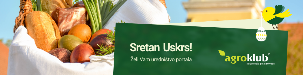 Uskrs