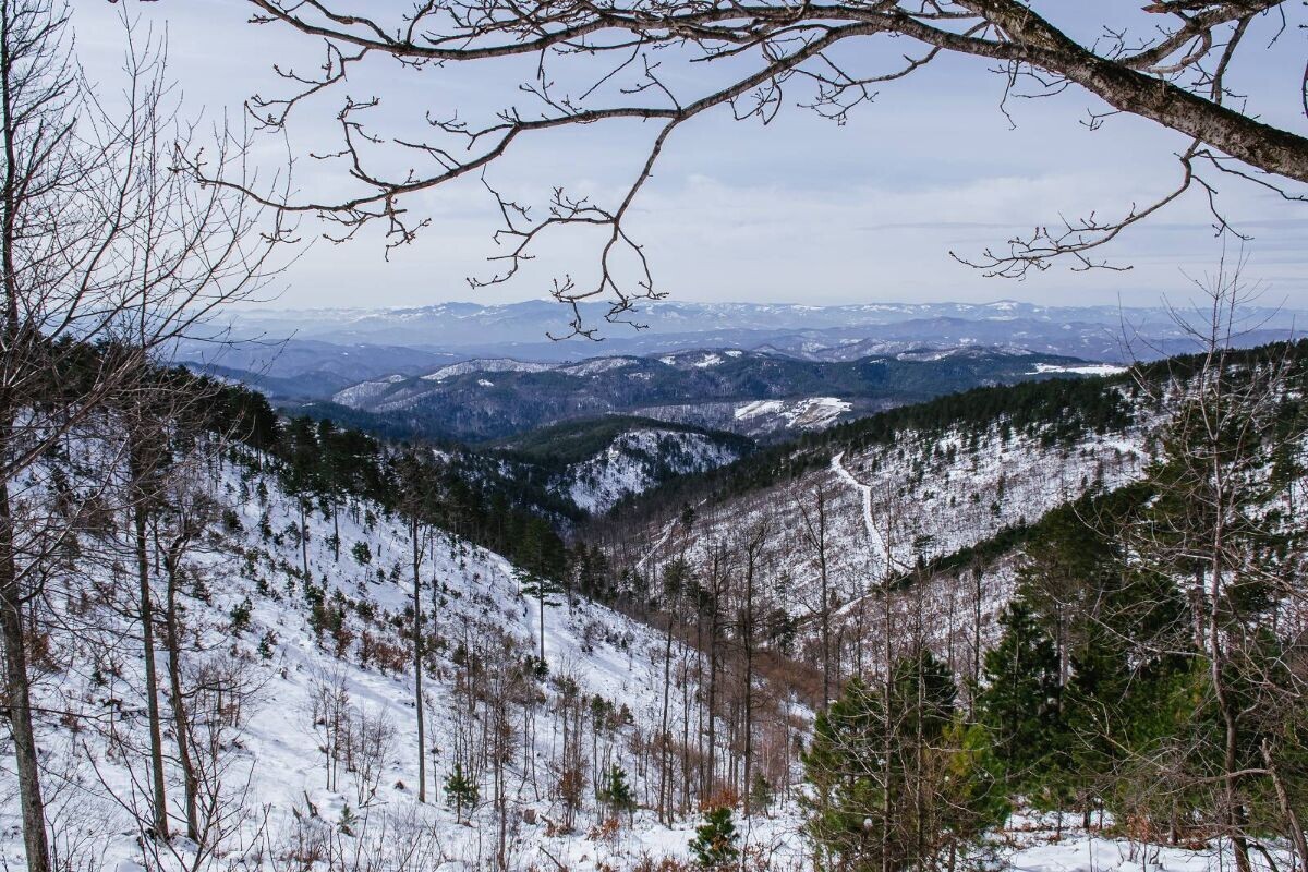 Planina Ozren
