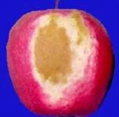 III tip ožegotina - foto-oksidacije