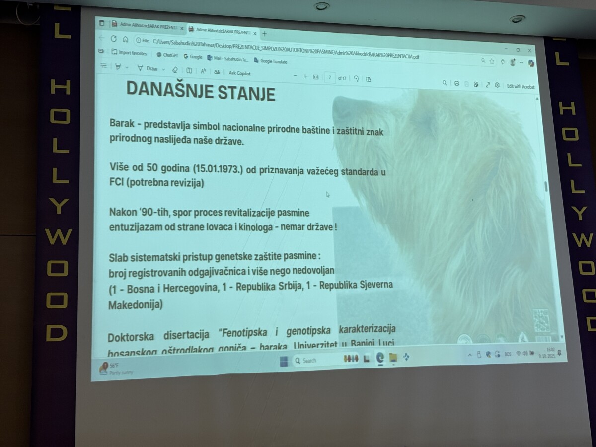 Današnje stanje nije za pohvalu