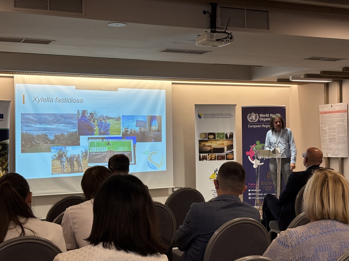 predavanje dario ivić