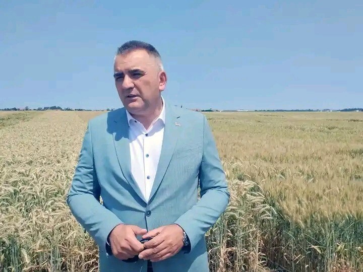 Minić u Novom Selu