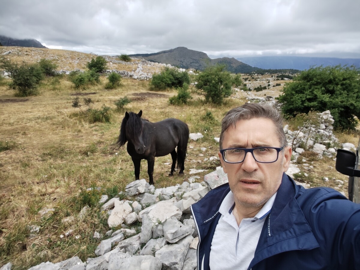 Tahmaza raduju teme o konjima