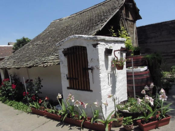 Vionogradarstvo pridonosi razvoju ruralnih područja