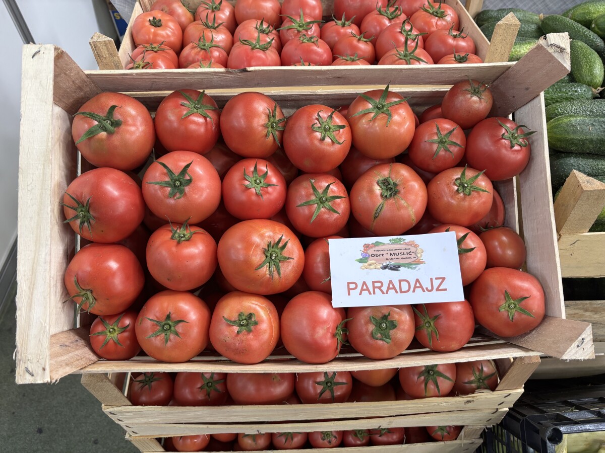 paradajz u gajbi