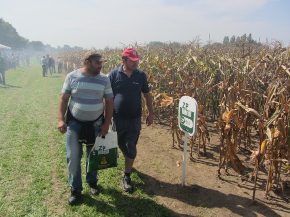 Poljoprivrednici razgledaju polje