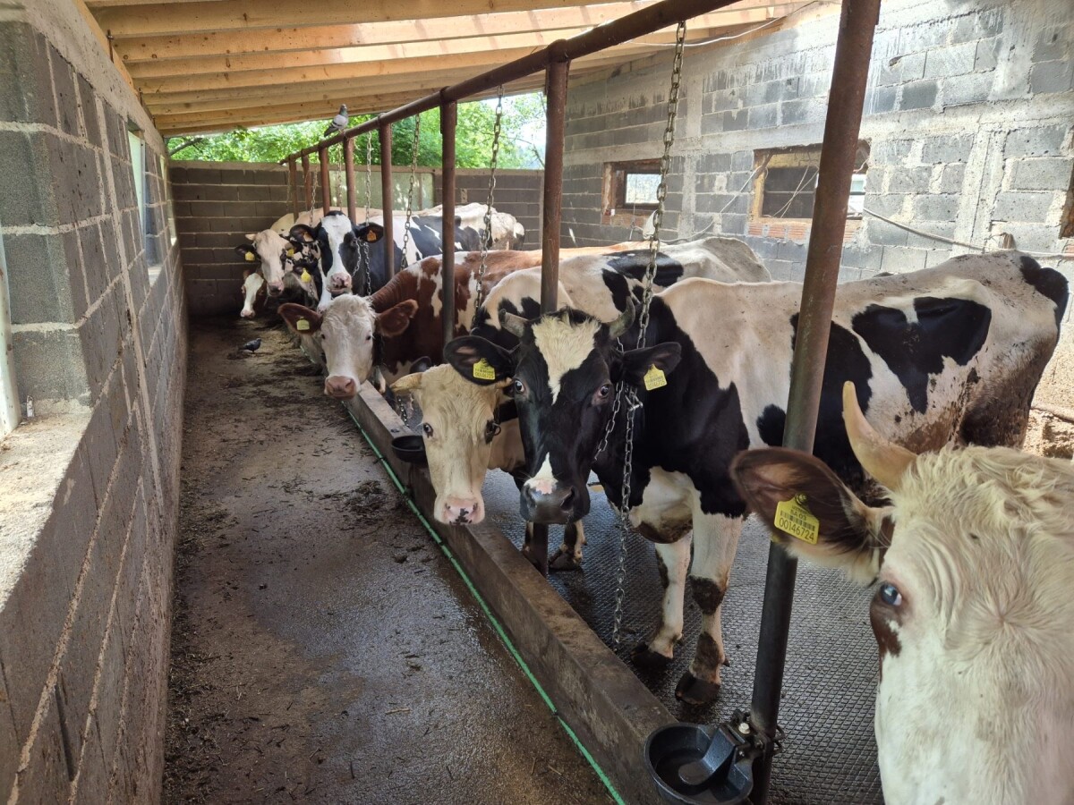 Dva nalaza uredna, treći prolongiraju