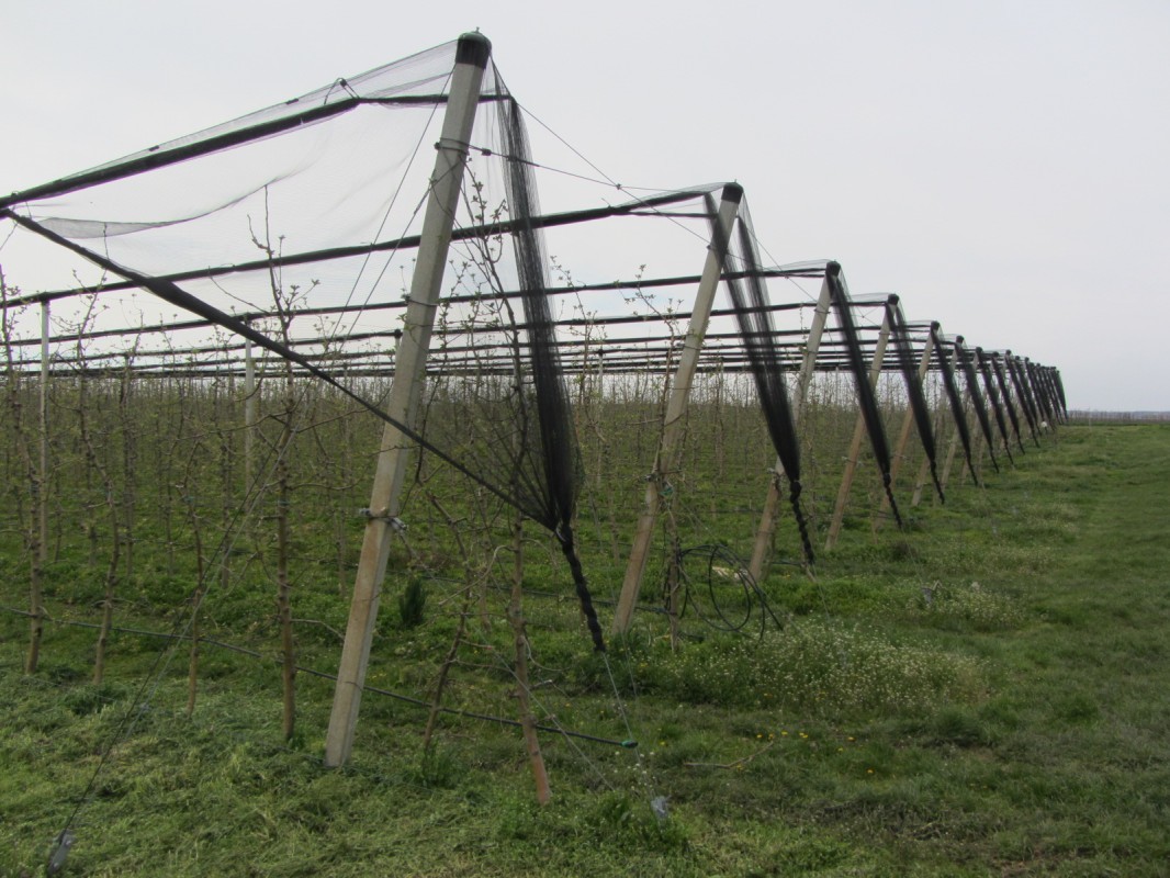 protivgradna zaštita