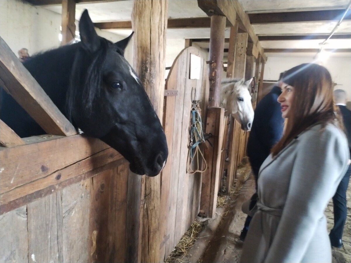 Ergela Vučijak, ministrica