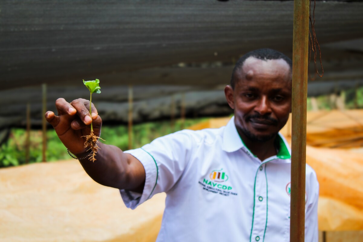 Elijah Kikuvi, KALRO institut