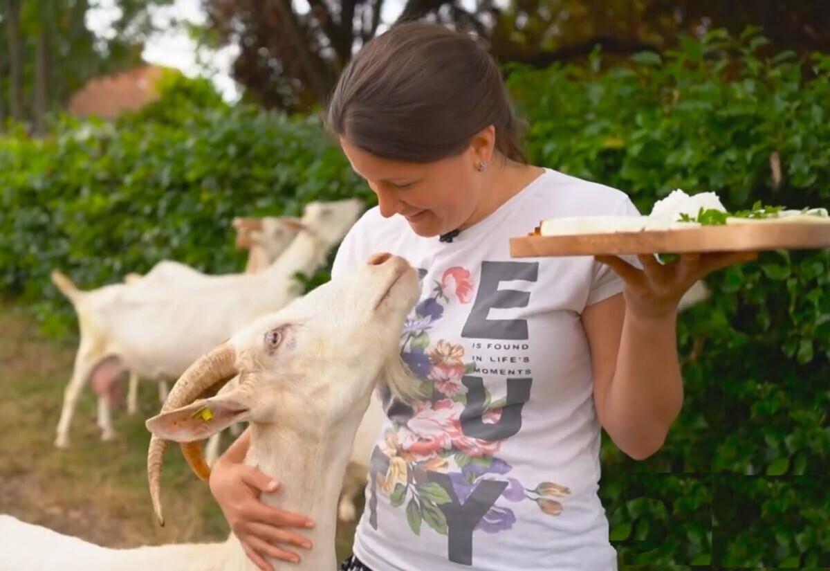 Jelena Ivanović sa kozom